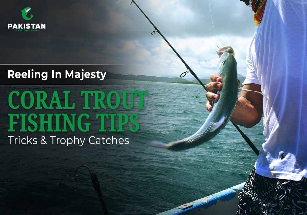 Reeling In Majesty: Coral Trout Fishing Tips, Tricks & Trophy Catches