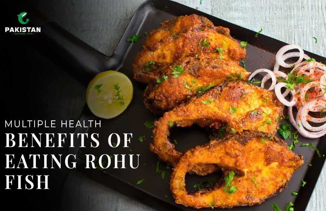 Multiple Health Benefits Of Eating Rohu Fish