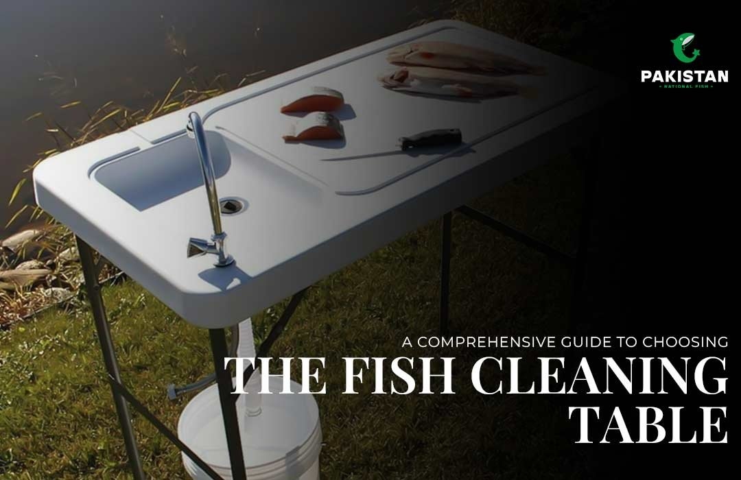 A Comprehensive Guide to Choosing the Fish Cleaning Table