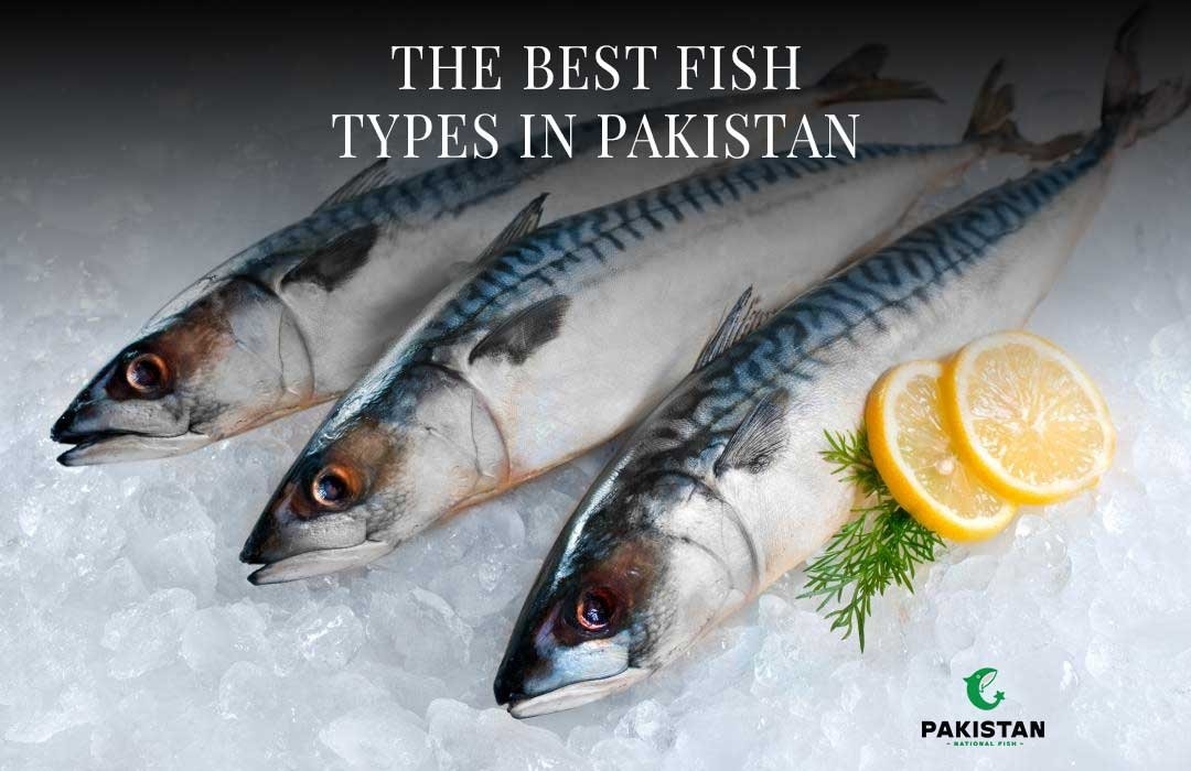 The Best Fish Types In Pakistan